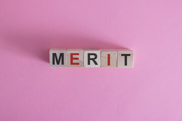 Merit symbol. Concept word Merit on wooden cubes. Beautiful grey background with succulent plant. Business and Merit concept. Copy space. Concept word