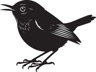 Creative wren vector illustration design