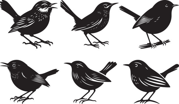 Creative wren vector illustration design