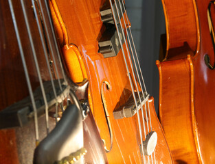 detail of violins with strings and other string instruments for sale in the musical instrument shop