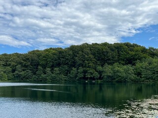 lake in the forest