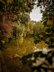 Wooden Footbridge Over A Flowing Stream In An Autumn Forest With Golden Leaves In Fürstenfeldbruck Bavaria, Germany: A Peaceful Path Amidst Nature's Colorful Fall Foliage And Serene Waters.