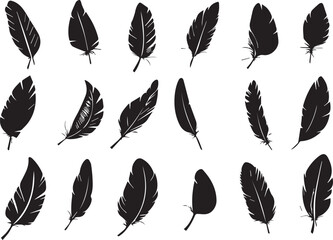 Set of bird feathers on a white background, line art, feather silhouettes.