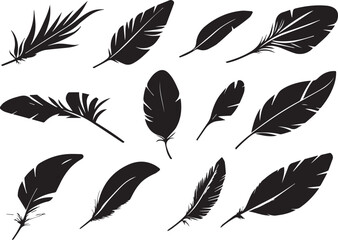 Set of bird feathers on a white background, line art, feather silhouettes.