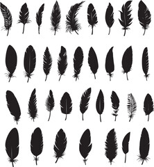 Set of bird feathers on a white background, line art, feather silhouettes.