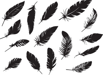 Set of bird feathers on a white background, line art, feather silhouettes.