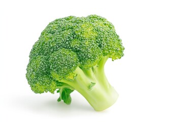 Fresh Broccoli on White Background