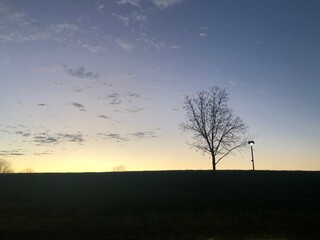 sunset over the field
