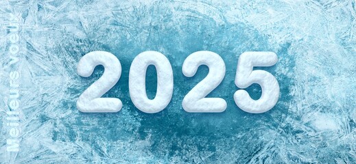 2025 neige  meilleurs voeux à gauche rond