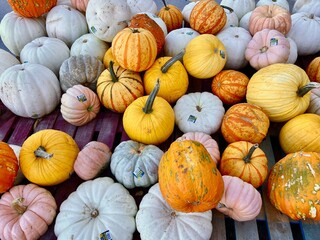 pumpkins at a market