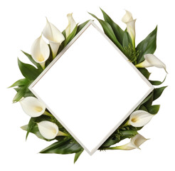 Naklejka premium PNG Flower plant petal leaf.