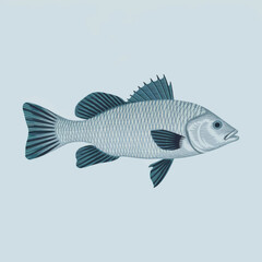 Fish silhouette, white background