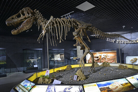 Tarbosaurus Bataar, "Dinosaur" skeleton - Exposition of the Natural History Museum (Dinosaur museum) in Ulaanbaatar, Mongolia