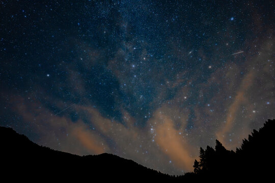 Foto notturna della via lattea sopra una foresta di pini