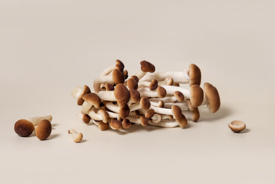 Fresh raw brown poplar mushrooms or velvet pioppini mushrooms on beige closeup