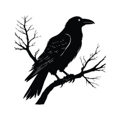 Symbolic Raven on Skull Silhouette Vector for Digital Use