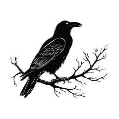 Black Raven Silhouette on Skull Vector Graphic Design