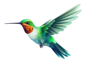 Obraz premium PNG Hummingbird hummingbird cartoon animal.