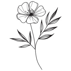 his is an illustration of flowers in a simple and modern line art style.
