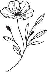 his is an illustration of flowers in a simple and modern line art style.
