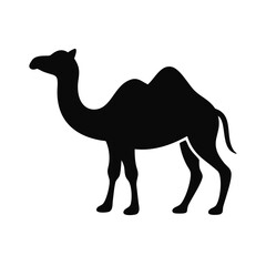 Silhouette of a camel in a minimalist style on a white background