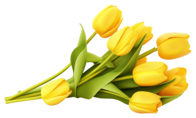 PNG Tulip flower yellow plant.