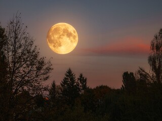 Night Scenery with full moon in the City