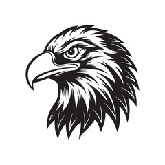 eagle head silhouette vector, black and white silhouette, vector and illustration, black and white