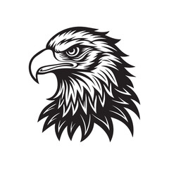 eagle head silhouette vector, black and white silhouette, vector and illustration, black and white