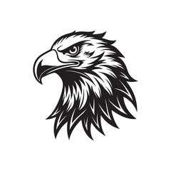 eagle head silhouette vector, black and white silhouette, vector and illustration, black and white