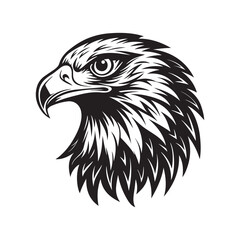 eagle head silhouette vector, black and white silhouette, vector and illustration, black and white