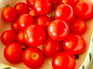 Fresh red tomatoes in a bowl, showcasing their vibrant color and freshness, perfect for culinary use and healthy eating.