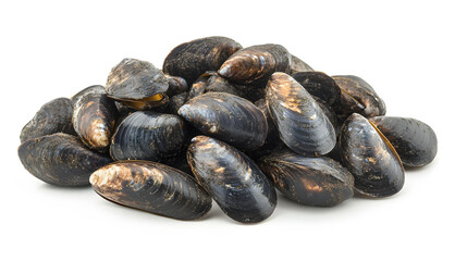Obraz premium Shellless Mussels Display, a close-up view of a pile of fresh shellless mussels on a clean white surface, showcasing their smooth texture and color.
