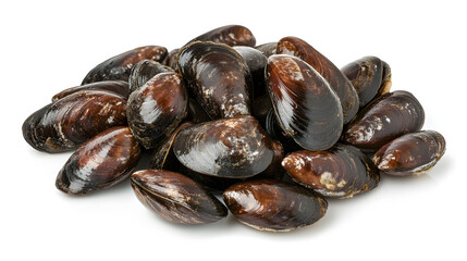 Shellless Mussels Display, an isolated arrangement of fresh shellless mussels on a clean white surface, showcasing their smooth textures and colors