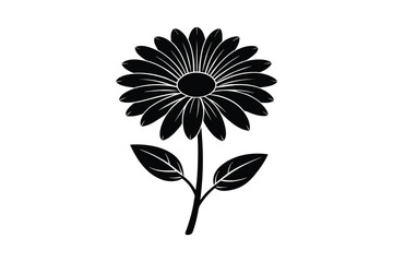 Osteospermum daisy flower silhouette black vector artwork illustration.