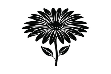 Osteospermum daisy flower silhouette black vector artwork illustration.
