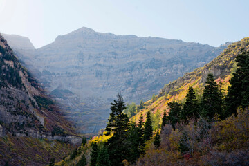 A misty mountain, Fall season on a mountain, Fall colors and a misty mountain, Fall colors on a slope, colorful mountain, Utah mountains in the Fall 