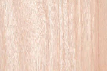 Plywood texture background. Backdrop of light wood. Carpentry work concept.