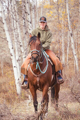 Fototapeta premium woman cowgirl with chaps riding bay quarter horse in western saddle through aspen trees in mountain forest 