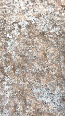 Compressed stone surface gives tactile depth to backgrounds. Soft texture creates minimalist aesthetic, ideal for enhancing visual elements without distracting from overall design.