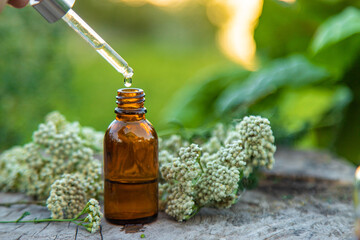 Yarrow extract in a bottle. Selective focus.