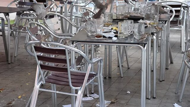 Bandada de gorriones Passer domesticus y tortolas turcas Streptopelia decaocto alimentandose en restaurante con sobras de clientes, San Vicente del Raspeig, Espa&ntilde;a