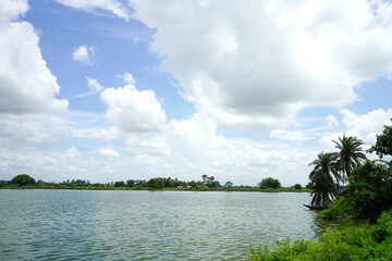 View of Water Bodies or Lake of Kharibari Village of West Bengal With Natural beauty