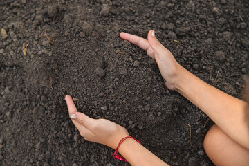 A child holds soil in his hands. Selective focus.