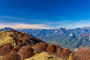 Foliage in the woods of Val di Resia, Friuli-Venezia Giulia