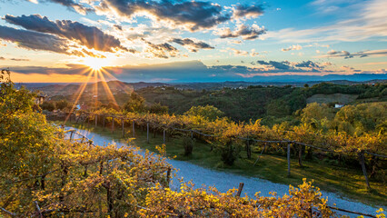 Colorful sunset in the vineyards at the border between Italy and Slovenia