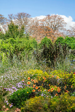 Colorful flowers in Paris garden