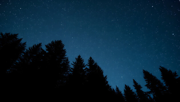 Virgo constellation in starry sky over conifer forest at night, low angle view isolated with white highlights, png