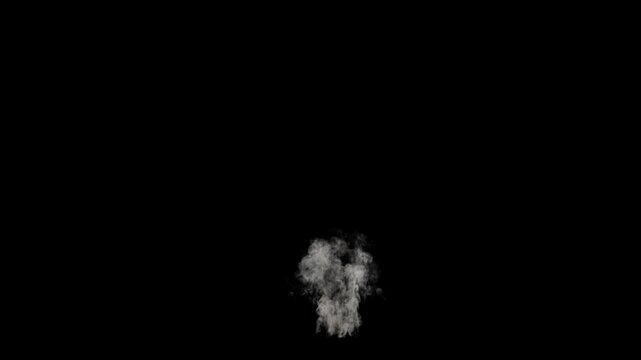 Smoke rising long shot on transparent background
3d rendering of fire explosion simulation with alpha channel (transparent background)
