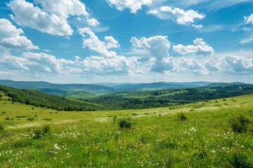 Naklejka premium A lush green meadow stretches across the landscape, framed by distant hills and a vibrant blue sky filled with fluffy clouds, creating a tranquil outdoor scene.